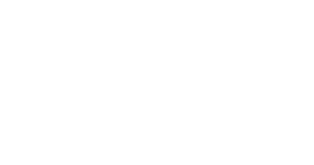 STATE Optical logo